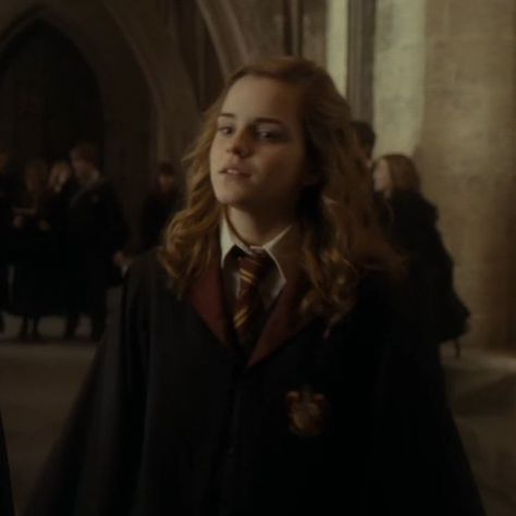 Hermione Granger Hermione Granger Icons, Hermione Granger Aesthetic, Emma Watson Harry Potter, Hogwarts Dr, Draco And Hermione, Hogwarts Aesthetic, Golden Trio, Harry Potter Hermione, Cedric Diggory