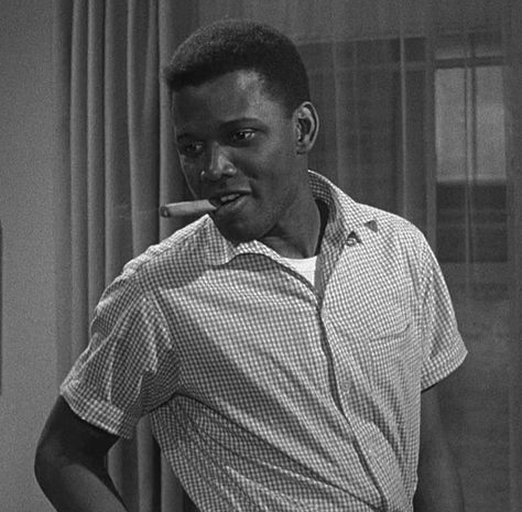 A Raisin In The Sun, New York In March, Raisin In The Sun, Sidney Poitier, African American Family, Black Actors, Black Hollywood, Television Program, Film Director