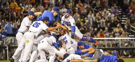 History is made: Florida Gators baseball wins its first national championship Florida Gators Baseball, Gator Football, Tailgate Gear, Gators Football, Florida Gator, College World Series, College Baseball, Grad Pics, Lsu Tigers