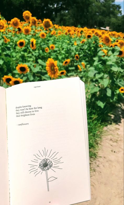 Rupi Kaur - The Sun and Her Flowers - Book Quote Poetry Sunflowers Pretty Flower Quotes, Sun Flower Meanings, Rupi Kaur Flower Quotes, Flowers Quotes Aesthetic, Sunflower Quotes Inspirational, The Sun And Her Flowers Aesthetic, Rupi Kaur Tattoo, Sunflower Captions, The Sun And Her Flowers Quotes