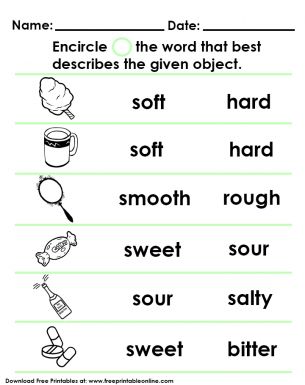 Science For Grade 1 Worksheets, Plurals Worksheets, Human Body Worksheets, My Five Senses, Preschool Activities Printable, Matter Worksheets, Homeschool Worksheets, First Grade Science, Kids Worksheets