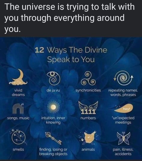 Spirit Guide Signs, Dream Word, Spiritual Ascension, Spiritual Awakening Signs, Spiritual Psychology, Spiritual Journals, Energy Healing Spirituality, Awakening Quotes, Dream Symbols