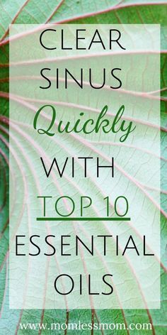 Summer Health Tips, Oils For Sinus, How To Clear Sinuses, Tips For Good Health, 10 Essentials, Sinus Congestion, Sinus Infection, Green Coffee Bean, Good Health Tips