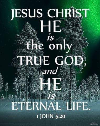 1 John 5:20 (TLB) - And we know that Christ, God’s Son, has come to help us understand and find the true God. And now we are in God because we are in Jesus Christ His Son, who is the only true God; and He is eternal Life. Lord And Savior, Son Of God, 1 John, Eternal Life, Lord Jesus Christ, Religious Quotes, Scripture Quotes, Scripture Verses, Bible Verses Quotes