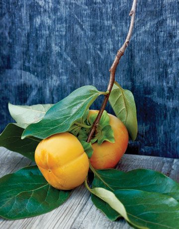 Indigo & Persimmon: Colors for my kitchen? Persimmon Branch, Master Bed, Garden Designs, Autumn Flavors, Thanksgiving Table, Persimmon, Birds Flying, Still Life Photography, Country Living