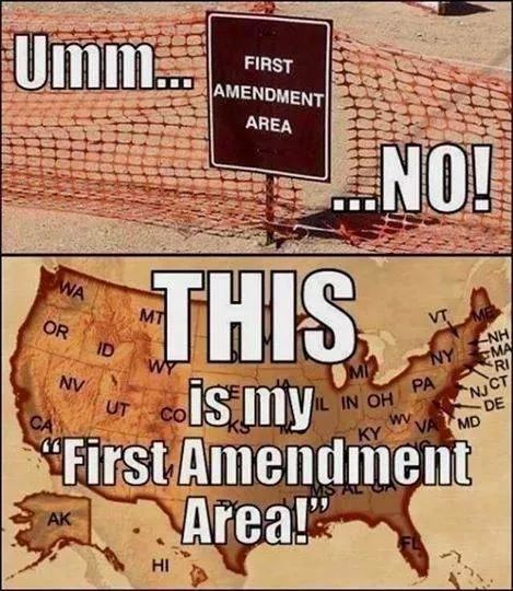 This 1st Amendment, Bill Of Rights, Constitutional Rights, Freedom Of Speech, American Patriot, The Constitution, America The Beautiful, We The People, Free Speech