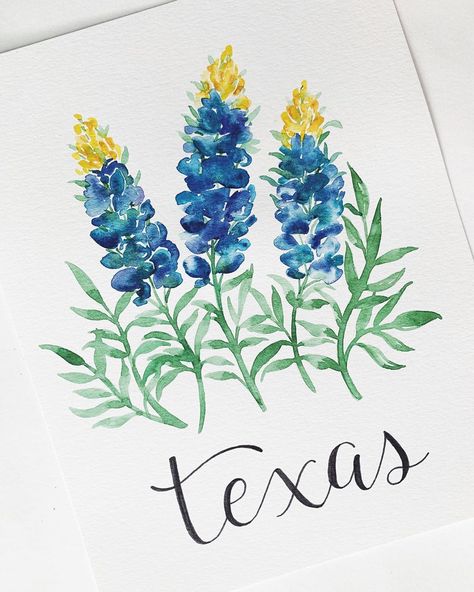 Painted Blue Bonnets, Blue Bonnet Drawing, 21 Sign, Address Stone, Texas Ornaments, Texas Wildflowers, Crochet Photo Props, Tools Drawing, Blue Bonnet