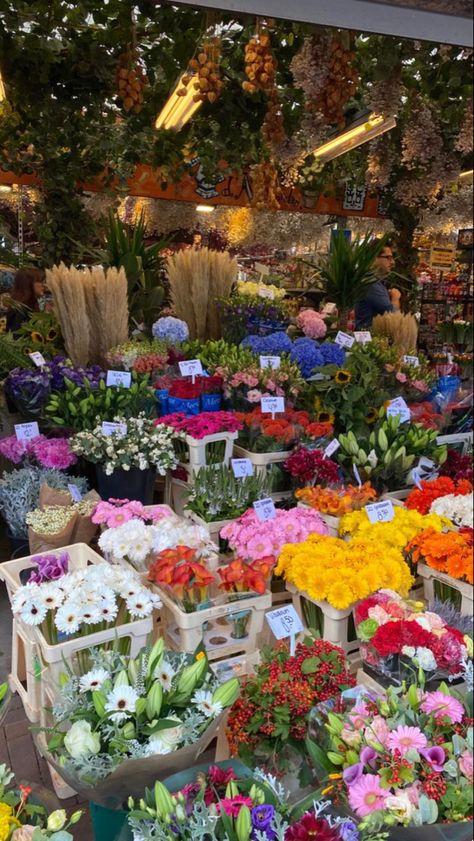 Netherlands Flower Field, Tulip Fields Netherlands Aesthetic, Market Place Aesthetic, Summer In Netherlands, Amsterdam Netherlands Aesthetic, Amsterdam Aesthetic Summer, Amsterdam In Summer, Flowers Amsterdam, Aesthetic Summer Ideas