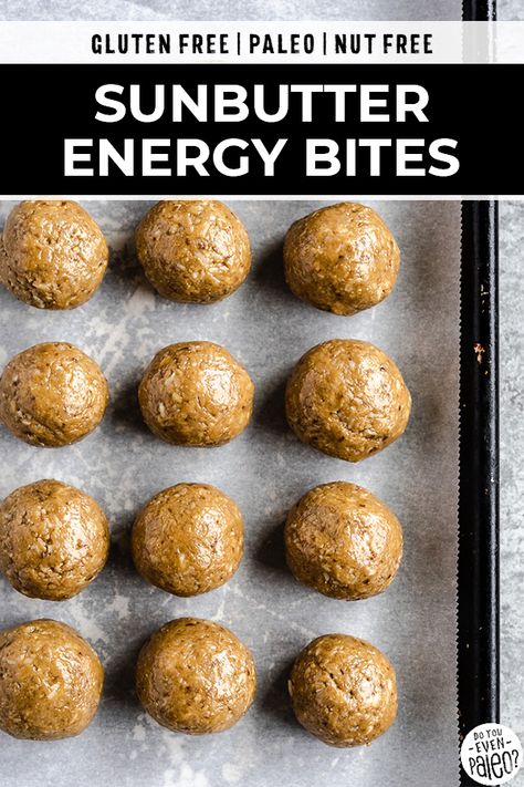 Energy Balls No Bake, Sunbutter Recipes, No Bake Energy Balls, Gluten Free Snacks Recipes, Nut Free Snacks, No Bake Energy, Energy Ball Recipe, Nut Free Recipes, Paleo Snacks