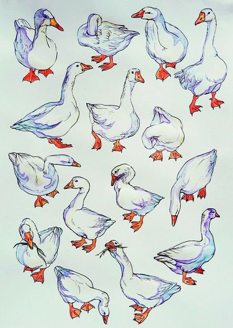 Goose Drawing, Goose Tattoo, Ducks And Geese, Duck Illustration, Duck Drawing, Duck Art, Art Pen, Have Inspiration, Animal Sketches