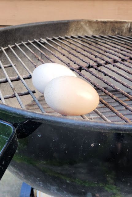 How to Grill Eggs in RECIPES, SAVORY, Next time you're grilling a couple of steaks or burgers, toss some eggs on the grill and you'll have hard-cooked eggs all week for snacking or to use in a savory, smoky egg salad. There's nothing better than the smell of burgers sizzling on a grill in the backyard.  Here in Maine, we're pretty much limited to grilling during the few months of the year when there's not snow on the ground, but in many parts of the country, I know grilling is a year-round " Eggs On The Grill, Egg Grill, Recipes Savory, Grill Time, Hard Cooked Eggs, Cracked Egg, Bbq Grills, Months Of The Year, Grill Cover