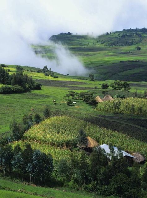 Ethiopia Landscape, Oromia Ethiopia, Ethiopian Landscape, Ethiopian Highlands, Ethiopia Travel, Retirement Activities, Ethiopian Culture, Travel Africa, African Travel