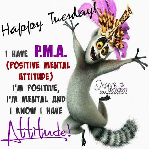 Tuesdayy                                                                                                                                                                                 More Tuesday Quotes Funny, Verknipte Humor, Happy Tuesday Pictures, Tuesday Pictures, Happy Tuesday Morning, Tuesday Greetings, Bon Mardi, Happy Tuesday Quotes, Good Morning Tuesday