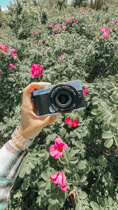 Summer Camera, Best Digital Camera, Cute Camera, Capture Moments, Ghost Hunters, Photography Aesthetic, Celebrate Life, Cute Photography, Summer Projects