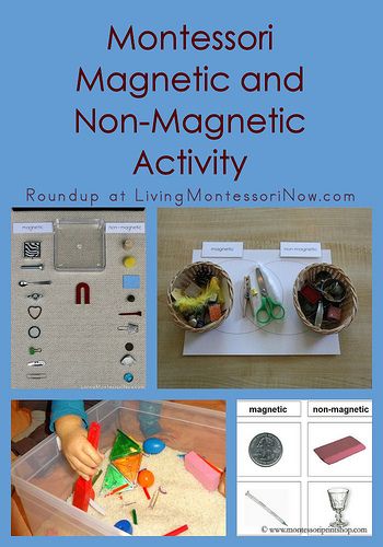 Montessori Monday – Montessori Magnetic and Non-Magnetic Activity Montessori Science Activities, Meadow Cottage, Preschool Farm, Montessori Curriculum, Magnet Activities, Pre-k Science, Montessori Science, Montessori Language, How To Homeschool