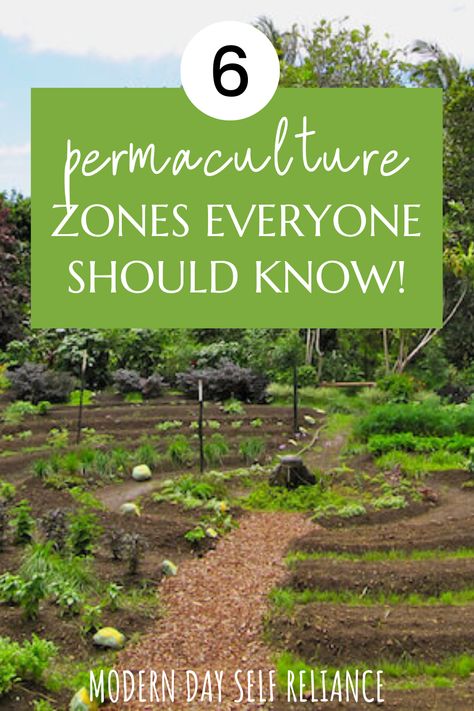 When designing a property following permaculture principles, it’s common to use “the zone approach.” This means dividing a property into defined zones based on proximity to the main dwelling and the intended use of each area. Learn how to use permaculture zones to best plan and manage your homestead! Permaculture Guilds Design, Permaculture Garden Design Ideas, Permaculture For Beginners, Zone 5 Vegetable Gardening, Permaculture Homestead Layout, Permaculture Garden Layout, Permaculture Design Layout, Small Homestead Layout, Permaculture Zones