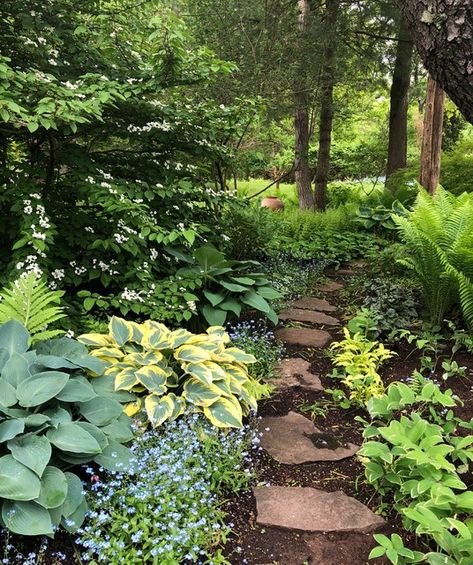 9 Beautiful Shady Yards Overflow With Lush Plantings Craftsman Landscaping, Shade Loving Plants, Shade Garden Design, Hillside Garden, Shade Garden Plants, Farmhouse Landscaping, Cape Ann, Garden Idea, Farmhouse Garden