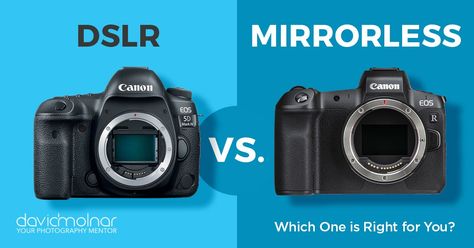 What comes out on top in the battle of DSLRs vs. mirrorless cameras? Both have their pros and cons! Mirrorless Vs Dslr, Canon Dslr Camera, Sharp Photo, Full Frame Camera, Canon Dslr, Prime Lens, Canon Lens, Camera Settings, Mirrorless Camera