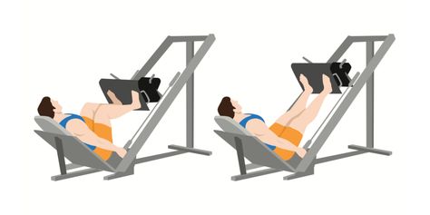 How To Do Leg Press Correctly - For All Fitness Levels - Gym Geek Leg Press Exercises, Press Exercises, Leg Press Workout, Seated Leg Press, Leg Press Machine, Lower Body Muscles, Barbell Squat, Leg Exercises, Popular Workouts