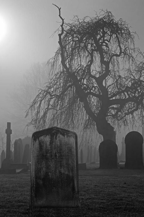 Cemetery Black And White, Grave Drawing Reference, Scary Graveyard, Creepy Cemetery, Gothic Cemetery, Grave Art, Gothic Graveyard, Crows Drawing, Cemeteries Photography