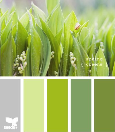 SpringGreens510 Design Seed, Green Palette, Green And Gray, Design Seeds, Green Design, Spring Green, Colour Schemes, Color Pallets, Color Swatches