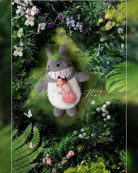 Alexandra Hunt Photography on Instagram: "A special portrait for @jeenie.weenie and @mrjohnnyung new addition! 🤍 I had a lot of fun building this enchanted forest glen composite. Swipe to see a comparison of my image vs the original scene from the movie, "My Neighbor Totoro"! Special thanks to one my twins for being my assistant in creating the base image! 🥰 #totoro #studioghibli #newborn #newbornphotography #babyphotography #newbornphotographyvancouver #newbornphotographylangley #newbornphoto My Neighbor Totoro Nursery, Totoro Newborn Photography, My Nabor Totoro Wallpaper, Baby Totoro Costume, Totoro Scenes, Ghibli Baby, Ghibli Wallpapers, My Neigbor Totoro Art, Totoro Nursery