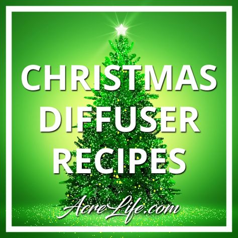 Essential Oil Christmas Diffuser Recipes - Acre Life Christmas Tree Essential Oil Recipe, Christmas Tree Diffuser Blend, Christmas Tree Essential Oil Blend, Essential Oil Recipes Diffuser, Christmas Diffuser Recipes, Essential Oil Christmas, Christmas Tree Essential Oil, Smells Of Christmas, Christmas Spirit Essential Oil