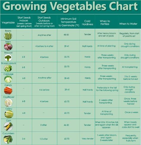 Growing Vegetables Chart Vegetable Growing Chart, Vegetable Chart, Growing Veggies, Magical Garden, Grow Your Own Food, Veggie Garden, Growing Food, Back To Nature, Growing Vegetables