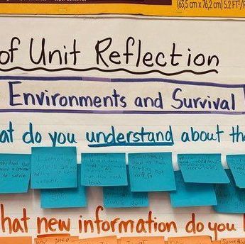 End Of Unit Reflection, Teacher Hacks, Teaching Ideas, All The Way, The Unit, On Instagram, Quick Saves, Instagram