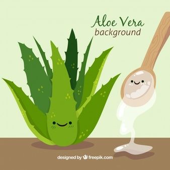 Free Vector | Aloe vera plant illustration Premium Vector Background, Aloe Barbadensis Miller, Aloe Vera Plant, Art Painting Gallery, Plant Illustration, Fitness Life, Life Images, School Projects, Vector Background