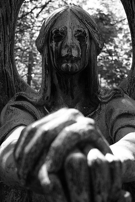 Haserot Angel, Art Mort, 천사와 악마, Cemeteries Photography, Cemetery Statues, Greek Statues, Art Noir, Cemetery Art, Angel Statues