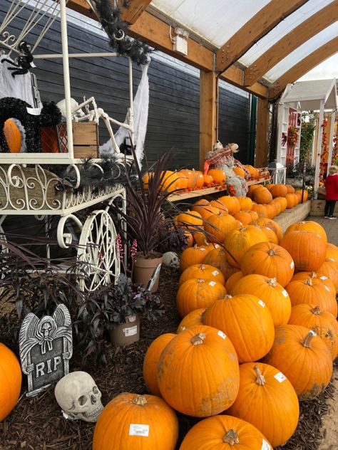 Garden Center Displays, Garden Centre, Garden Center, Halloween