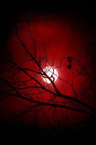 Red Goth Aesthetic, Spooky Moon, Gothic Drawings, Red Goth, I See Red, Dark Grunge, Romantic Goth, Theme Background, Red Moon