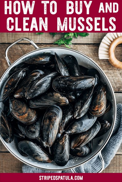 How To Cook Mussels Recipes, How To Cook Muscles, How To Cook Muscles Seafood, Fresh Mussels Recipe, Muscle Recipes Seafood, How To Cook Mussels, Mussel Dishes, Muscles Recipe, Mussels Recipe White Wine