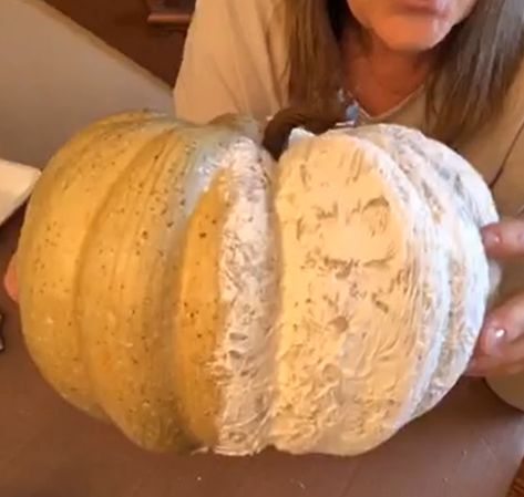 How to Make Plaster Covered Pumpkins Plastic Pumpkins Makeover, Making Pumpkins, How To Make Plaster, Paris Crafts, Fall Pumpkin Crafts, Pumpkin Uses, Plaster Paint, Fake Pumpkins, Diy Plaster