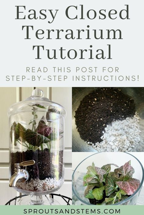 Check out this step-by-step tutorial for how to easily build a closed terrarium! Closed terrariums are their own mini ecosystems, which is super cool. They look complicated, but they're not! In this post I review an easy step-by-step DIY—how to create your own closed terrarium, layer by layer | sproutsandstems.com #diy #terrarium #sproutsandstems How To Make An Enclosed Terrarium, Closed Terrarium Ideas Diy How To Make, Closed Terrarium Layers, Terrarium Soil Layers, Diy Closed Terrarium, Terrarium Care Instructions, Closed Terrarium Ideas Diy, Terrarium Layers, Houseplant Diy