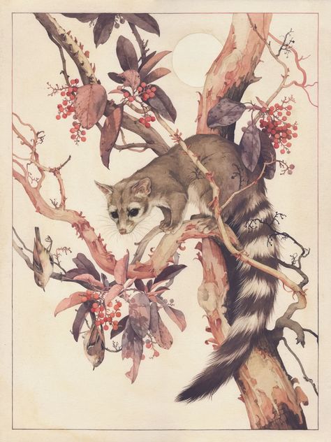 Teagan White, Fauna Illustration, Working Drawing, Colossal Art, Desenho Tattoo, Art Et Illustration, Flora And Fauna, Giclee Art, Giclee Art Print