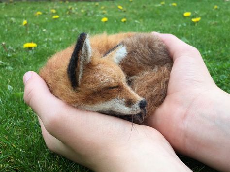 Needle felted fox sculpture Felt Creatures, Fox Sculpture, Felt Sculpture, Felting Crafts, Felted Fox, Needle Felted Fox, Wildlife Rescue, Felt Fox, Felting Ideas