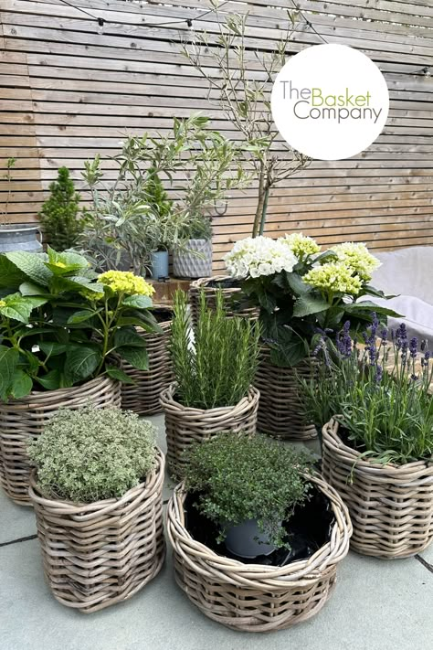 There's a planter for every garden with our diverse range of Rattan Planters. Create the cottage garden of your dreams by planting your flowers and greenery in our rustic Grey & Buff Rattan Wicker Planters, which come in so many different shapes and sizes to suit both smaller and larger outdoor spaces. It's a simple yet effective way to add a little country charm to your garden or patio area. #thebasketcompany #wickerbasket #planter #garden #gardendecor #gardening #rusticdecor #wicker Basket Garden, Mediterranean Patio Ideas, Garden Ideas Diy Cheap, Rattan Planters, French Country Garden, Rustic Planters, Wicker Planter, French Garden, Home Landscaping