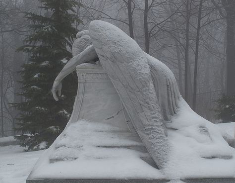 by Fransois, via Flickr - http://www.flickr.com/photos/fransois/4220329716# Grave Domain Cleric Aesthetic, Weeping Angels, Angel Falls, Cemetery Angels, Cemetery Statues, The Fallen Angel, Weeping Angel, Angel Statue, Theme Nature