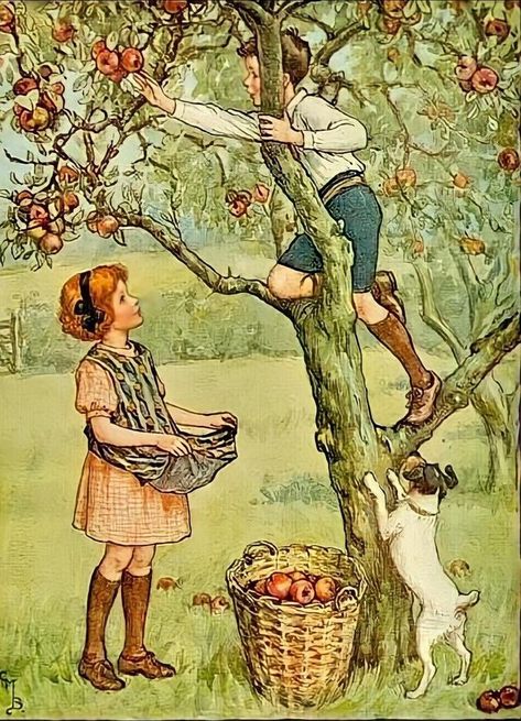 Vintage Illustration Art, Storybook Art, Cicely Mary Barker, Childrens Books Illustrations, Book Illustration Art, Fairytale Art, Girl And Dog, Apple Tree, Childrens Illustrations