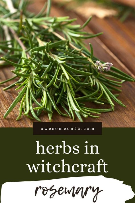 Witchcraft Rosemary, Rosemary Witchcraft, Herbs In Witchcraft, Kitchen Magick, Witches Garden, Witchcraft Herbs, Rosemary Herb, Rosemary Tea, Witch Herbs