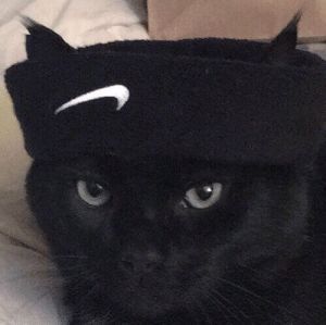 Cute Nike Cat | Cute Meme on ME.ME | Black cat aesthetic, Cats, Cute cats Discord Avatar, Logo Free Fire, Avatar Profile Picture, Icons Meme, Tt Pfp, Black Cat Aesthetic, Wallpaper Profile, Aesthetic Cats, Discord Profile