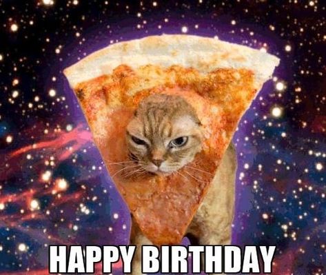 21 Cat Birthday Memes That Are Absolutely Purrrrfect - Funny Gallery Happy Birthday Weird, Silly Happy Birthday, Hilarious Happy Birthday, Birthday Core, Cat Birthday Memes, Happy Birthday Memes, Holiday Memes, Bday Stuff, Birthday Things