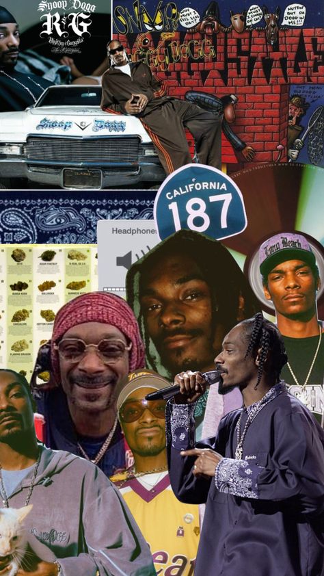 Snoop Dogg 90s, Rnb Aesthetic, Flaming Dragon, Tupac And Biggie, Music 90s, Collage Moodboard, 90s Wallpaper, 90s Hiphop, Snoop Dog