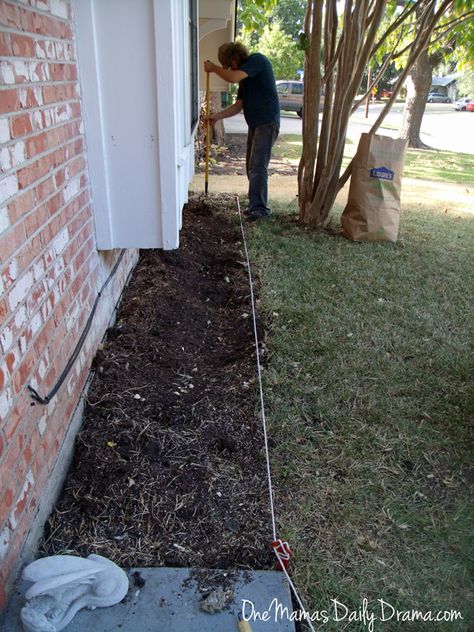 Easy summer garden flower bed Flower Beds Under Windows, Flower Bed Next To Fence, Straight Flower Beds, Tiny Flower Bed Ideas, Narrow Planting Bed, Side Of House Flower Bed, Flower Bed On Side Of House, Under Window Flower Bed, Long Flower Bed Ideas