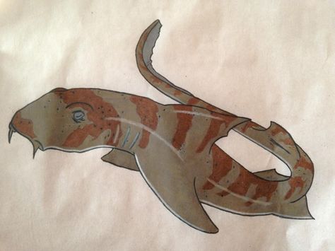 Bamboo shark Bamboo Shark Drawing, Bamboo Shark Tattoo, Bamboo Shark, Cat Shark, Shark Drawing, Shark Art, Shark Tattoos, Brown Spots, Art References