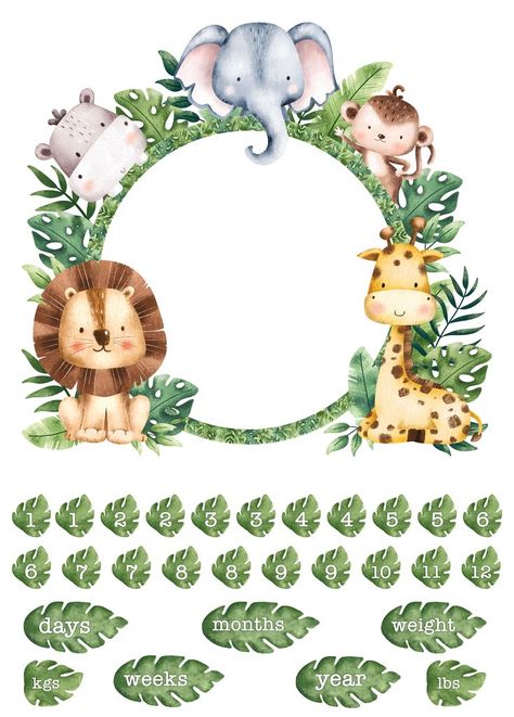 DP25649-10 from the Wee Safari collection by Deborah Edwards for Northcott. Northcott Fabrics, Age Photos, Jungle Birthday, Baby Fabric, Friends Set, Safari Birthday, Safari Theme, Babies First Year, Crib Quilt