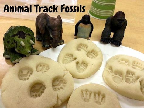 Animal Track Fossils Fossils Lesson, Jungle Activities, Animal Activities For Kids, Animal Lessons, Homemade Playdough Recipe, Animal Footprints, Playdough Activities, Farm Activities, Playdough Recipe