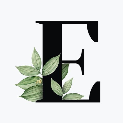 Botanical capital letter E vector | free image by rawpixel.com / Aum E Design Letter, Botanical Capital Letter, Letter E, Font Design, Free Image, E Design, Alphabet, Floral, Design